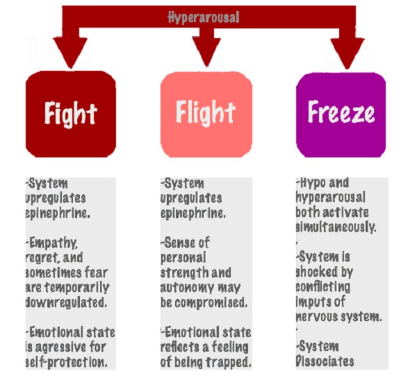 Understanding BPD Stress Response (Fight, Flight, Freeze)